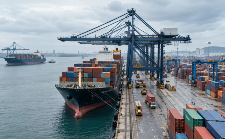  Vizhinjam Port Goes Live for EXIM Cargo: What It Means for Kerala’s Logistics Careers